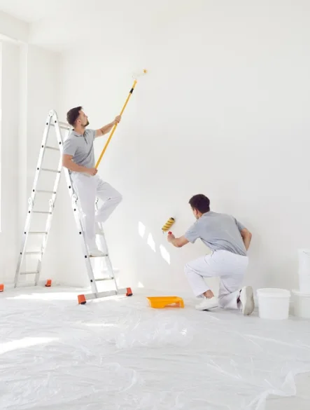 Lmt Peinture Entreprise De Peinture Et Renovation Montpellier Artisan Peintre